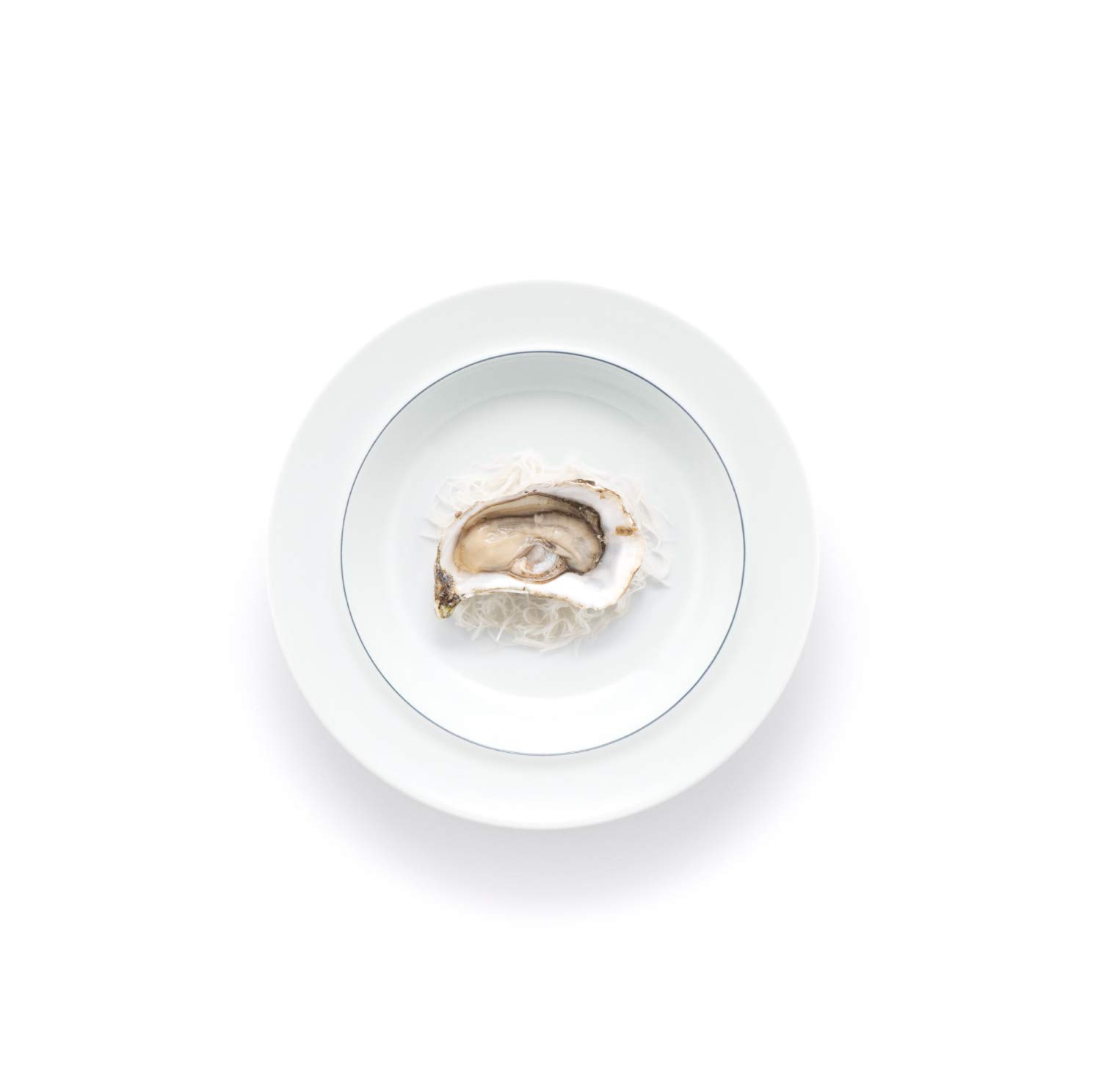 Amazon.co.jp: BODUM ボダム 食器 プレート BLÅ ブラ ディープ